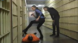 Мыслить как преступник 11 сезон 22 серия — плитка